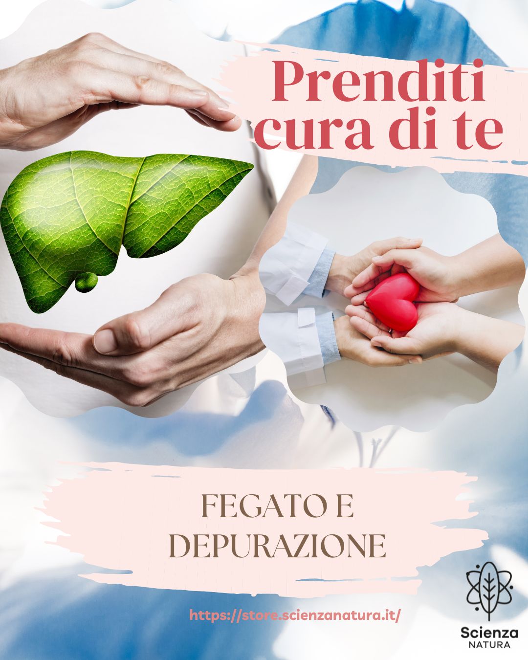 Immagine relativa al post intitolato IL FEGATO E LA DEPURAZIONE 