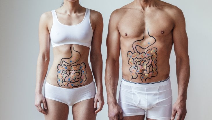 Immagine relativa al post intitolato PROTOCOLLO BROMATECH 