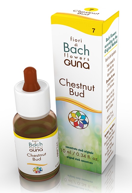 CHESTNUT BUD GOCCE 10 ML - Newepa Srl
