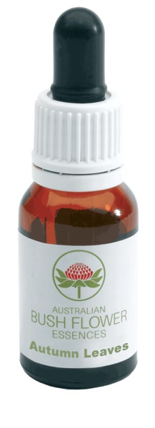 AUTUMN LEAVES GOCCE 15 ML - Newepa Srl