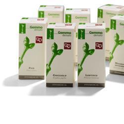SORBO MACERATO GLICERICO 50 ML - Newepa Srl
