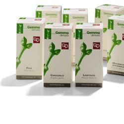 FICO MACERATO GLICERICO 100 ML - Newepa Srl