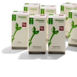 RIBES NERO MACERATO GLICERICO 200 ML - Newepa Srl