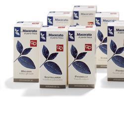 ZENZERO TINTURA MADRE 50 ML - Newepa Srl