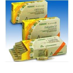 FISIOSOL PL RIBES NE 20F - Newepa Srl