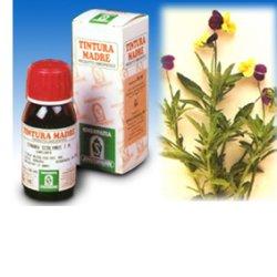 VIOLA DEL PENSIERO 32 50ML TM - Newepa Srl