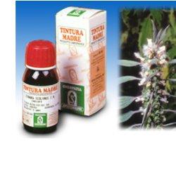 CARDIACA 16 50ML TM - Newepa Srl