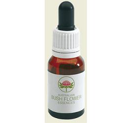 SUNSHINE WATTLE AUSTRALIAN GOCCE 15 ML - Newepa Srl
