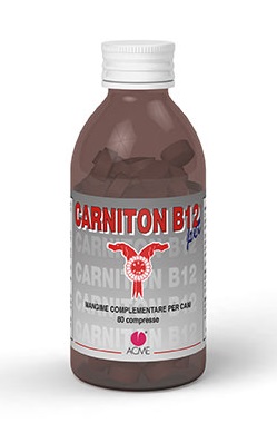 CARNITON B 12 80 COMPRESSE - Newepa Srl