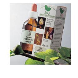 ROSA CANINA MACERATO GLICERICO 100 ML - Newepa Srl