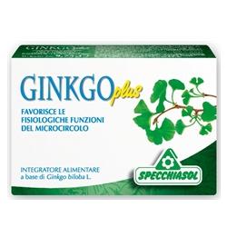 GINKGO PLUS 30 CAPSULE - Newepa Srl