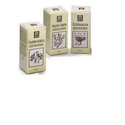ECHINACEA ESTRATTO ANALCOLICO 50 ML ARTICOLO 813 - Newepa Srl