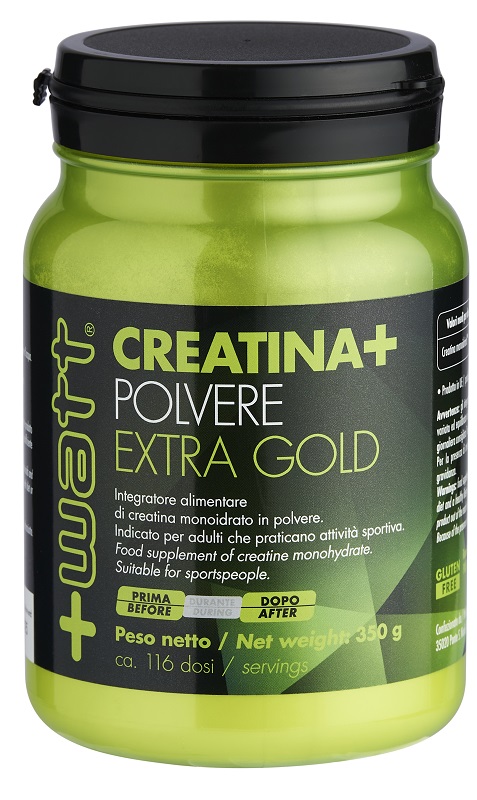 CREATINA+ POLVERE EXTRAGOLD 350 G - Newepa Srl