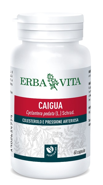 CAIGUA 60 CAPSULE 400 MG - Newepa Srl