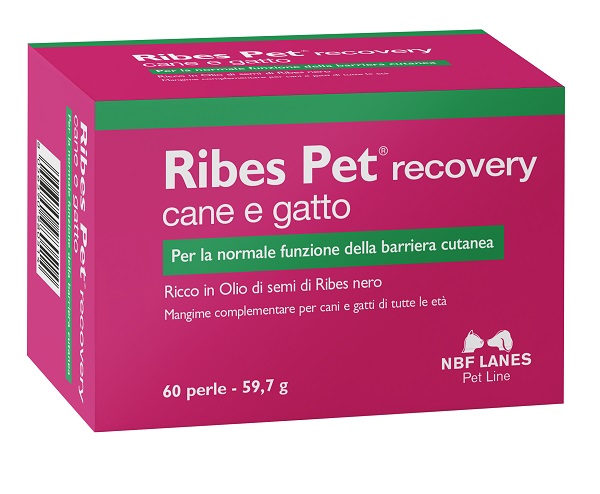RIBES PET RECOVERY BLISTER 60 PERLE - Newepa Srl
