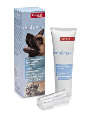 DENTALMAX GEL STOMATOLOGICO 50 ML - Newepa Srl