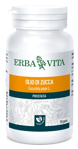 ZUCCA SEMI 50 PERLE - Newepa Srl