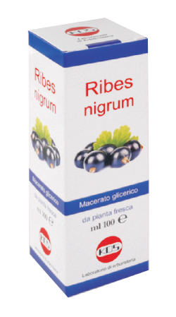 RIBES NIGRUM MACERATO GLICERICO 100 ML GOCCE - Newepa Srl