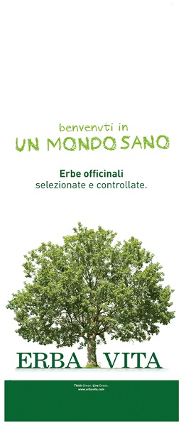 ARGILLA VERDE SUPERVENTILATE 300 G - Newepa Srl