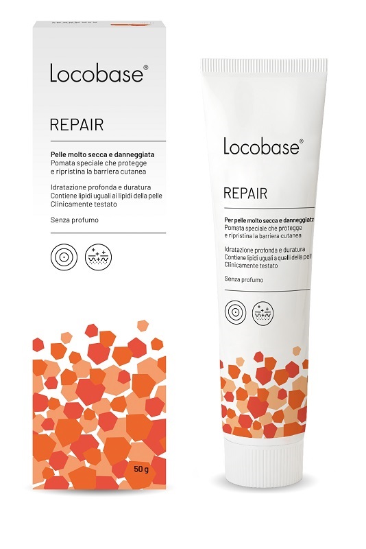 LOCOBASE REPAIR 50 G - Newepa Srl