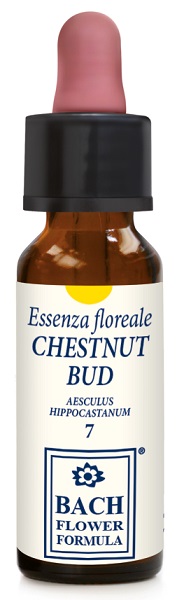CHESTNUT BUD ORIGINAL GOCCE 10 ML - Newepa Srl