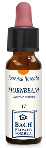 HORNBEAM ORIGINAL GOCCE 10 ML - Newepa Srl