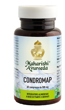 CONDROMAP 60 COMPRESSE - Newepa Srl