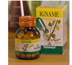IGNAME ERBE 60TAV - Newepa Srl