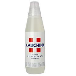 DISINFETTANTE IGIENIZZANTE A BASE DI IPOCLORITO DI SODIO ANTIMICROBICO AD AMPIO SPETTRO D'AZIONE AMUCHINA LIQUIDA 100% 1000 ML - Newepa Srl