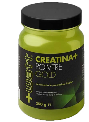 CREATINA+ POLVERE GOLD 350 G - Newepa Srl