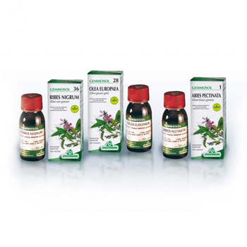 GEMMOSOL 24 FICO 50ML - Newepa Srl