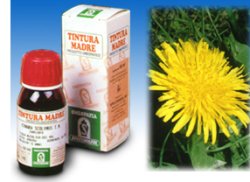 TARASSACO 28 50ML TM - Newepa Srl