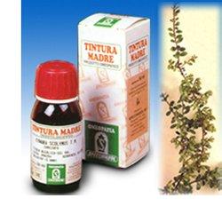 UVA URSINA 30 50ML TM - Newepa Srl