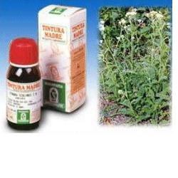 ACHILLEA 51 TINTURA MADRE 50 ML - Newepa Srl