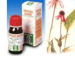 ECHINACEA 59 50ML TM - Newepa Srl