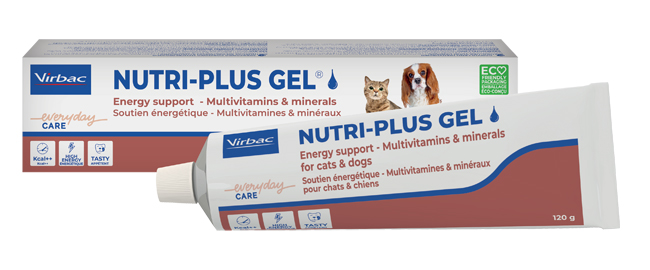 NUTRIPLUS GEL PASTA ORALE 120 G - Newepa Srl