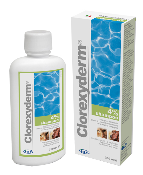 CLOREXYDERM SHAMPOO 4% 250 ML - Newepa Srl