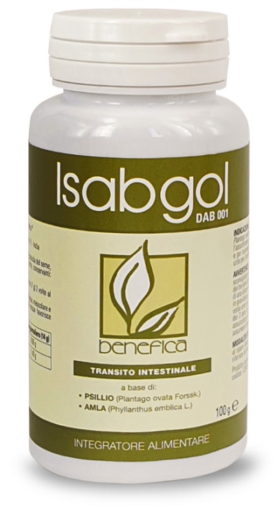 DAB 001 ISABGOL 100 G - Newepa Srl