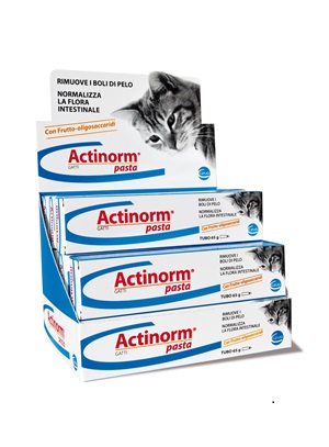ACTINORM PASTA GATTI 65 G - Newepa Srl