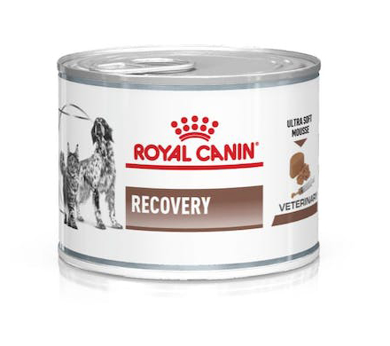 VETERINARY DIET WET DOG & CAT RECOVERY 195 G - Newepa Srl