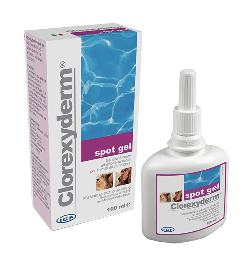 CLOREXYDERM SPOT GEL 100 ML - Newepa Srl