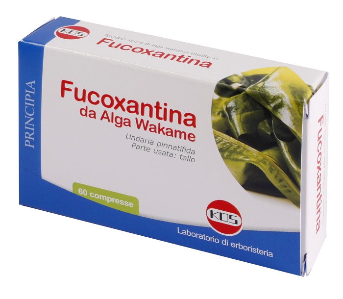 FUCOXANTINA 60 COMPRESSE - Newepa Srl