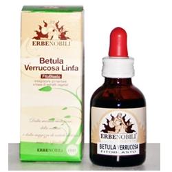FITOBLASTO BETULLA VERRUCOSA LINFA 50 ML - Newepa Srl