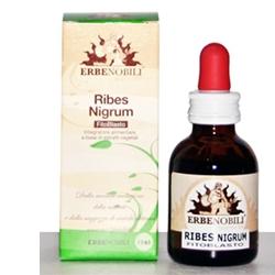 FITOBLASTO RIBES NIGRUM 50 ML - Newepa Srl
