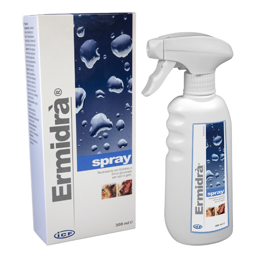 ERMIDRA' SPRAY 300 ML - Newepa Srl