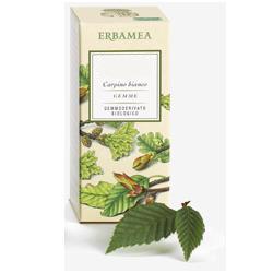 FICUS CARICA GEMME GEMMODERIVATO BIO 50 ML - Newepa Srl