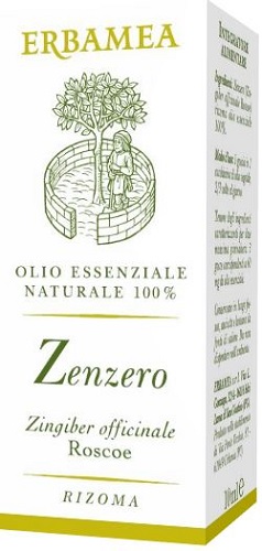 ZENZERO 10 ML - Newepa Srl