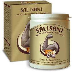 SALISANI VITAMINSPORT 360 G POLVERE - Newepa Srl