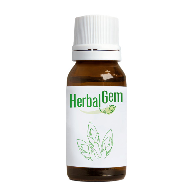HERBALGEM VOCE BIO SCIROPPO 250 ML - Newepa Srl
