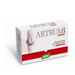 ARTRUM B CON MANGOSTANO 48 COMPRESSE 31 G - Newepa Srl